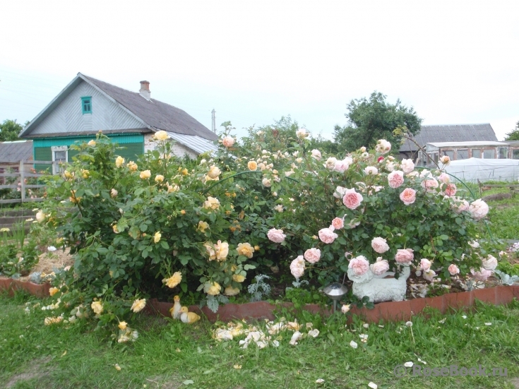 Abraham Darby