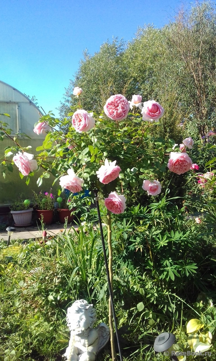 Abraham Darby