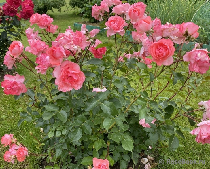 Jardins de France 