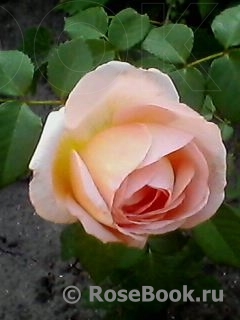 Abraham Darby