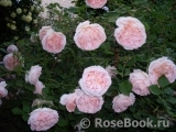 Abraham Darby