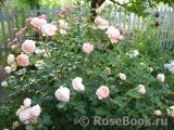 Abraham Darby