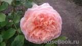 Abraham Darby