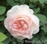 Abraham Darby