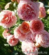 Abraham Darby