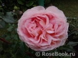 Abraham Darby