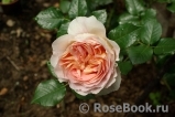 Abraham Darby