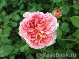 Abraham Darby