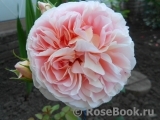 Abraham Darby