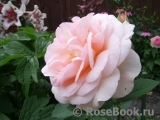 Abraham Darby