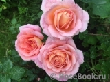 Abraham Darby