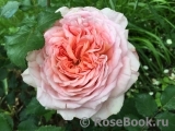 Abraham Darby