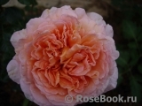 Abraham Darby