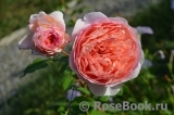 Abraham Darby