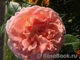 Abraham Darby