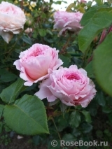 Abraham Darby