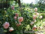 Abraham Darby