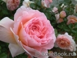 Abraham Darby