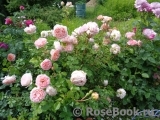 Abraham Darby