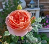 Abraham Darby