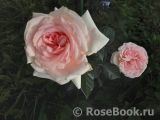 A Shropshire Lad