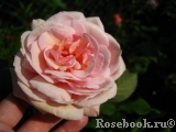 A Shropshire Lad