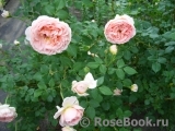 Abraham Darby