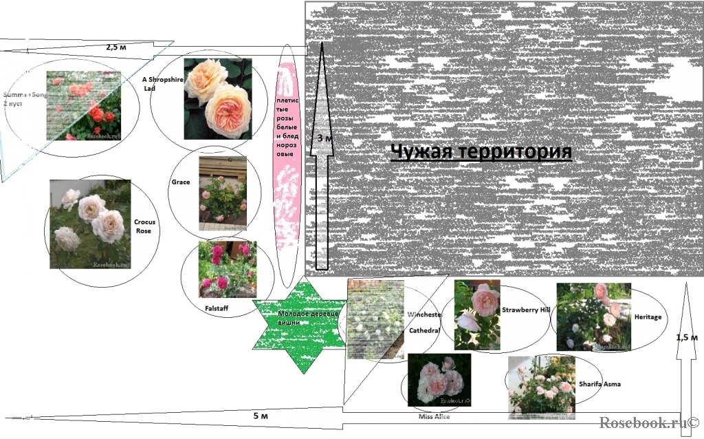 Малыш (Доде) — Викитека