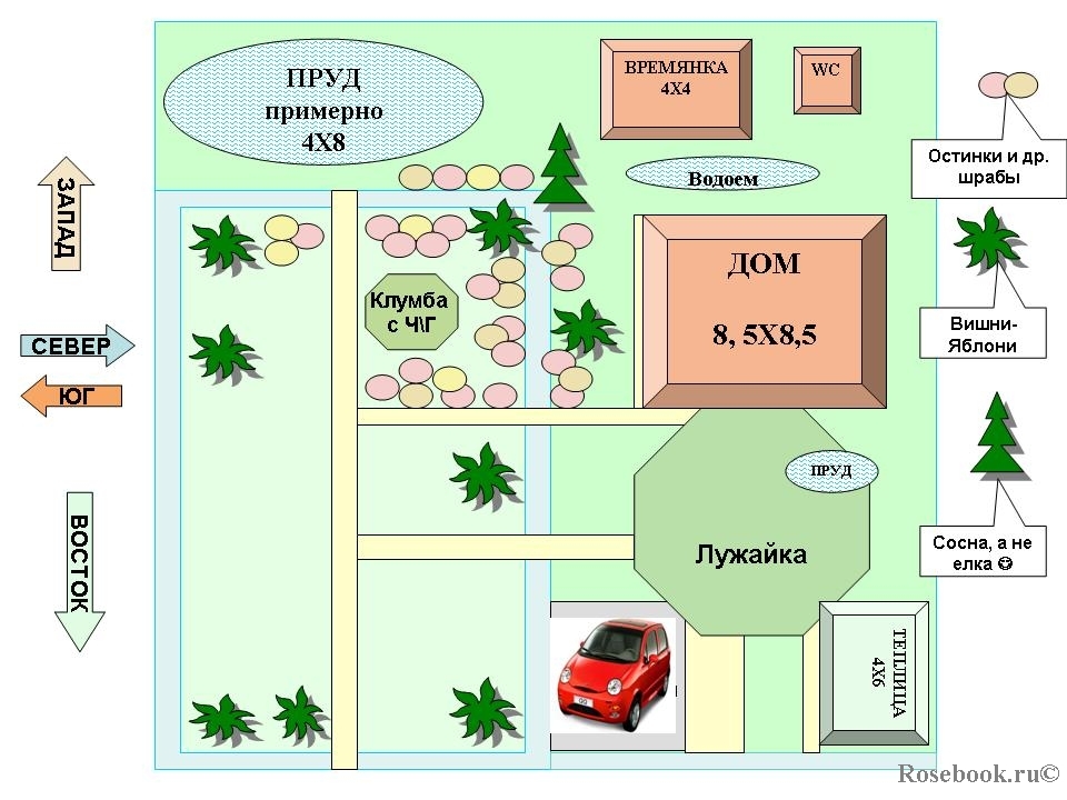 Схема посадки роз Остина i 