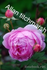 Alan Titchmarsh